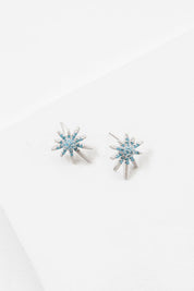 Carina Star Earrings - Silver / OS