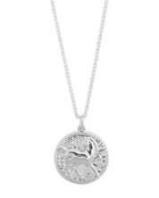 Chinese Zodiac Coin Necklace - Horse