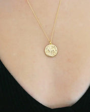 Chinese Zodiac Coin Necklace - Pig