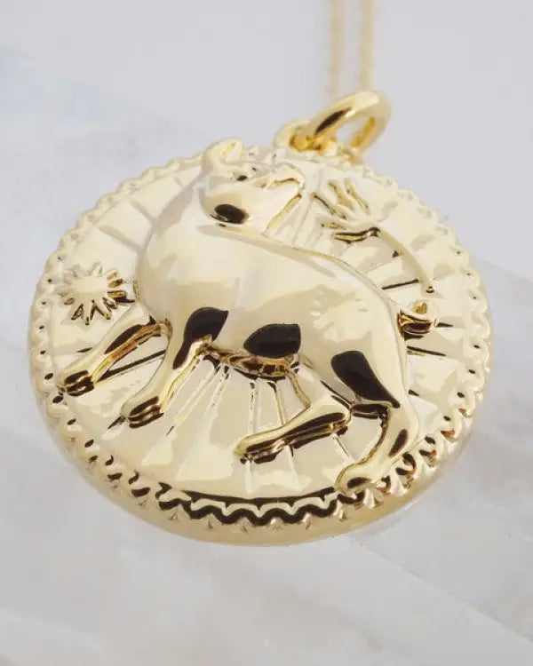 Chinese Zodiac Coin Necklace - Pig