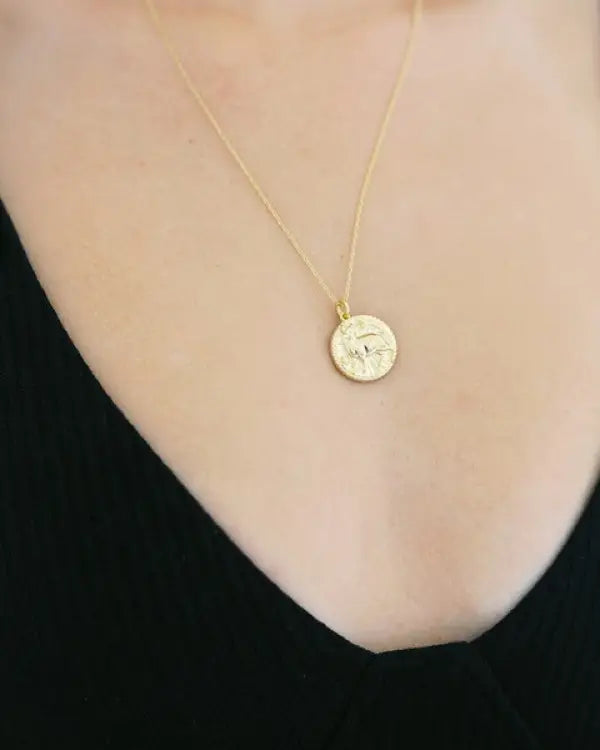 Chinese Zodiac Coin Necklace - Pig