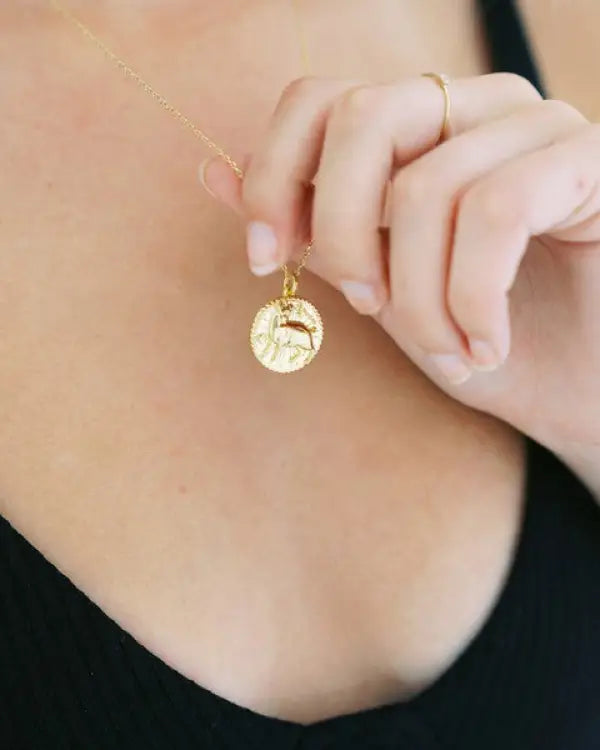 Chinese Zodiac Coin Necklace - Pig