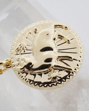 Chinese Zodiac Coin Necklace - Pig