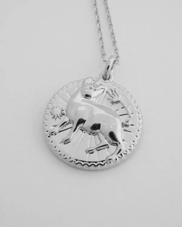 Chinese Zodiac Coin Necklace - Pig