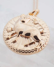 Chinese Zodiac Coin Necklace - Pig