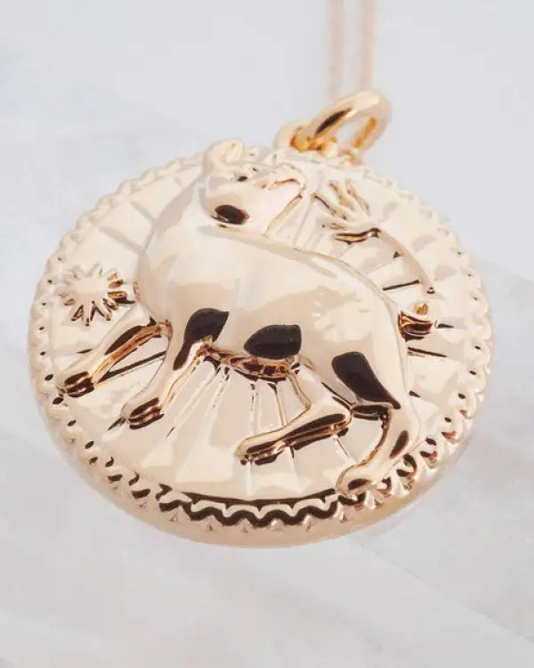 Chinese Zodiac Coin Necklace - Pig