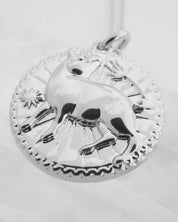 Chinese Zodiac Coin Necklace - Pig