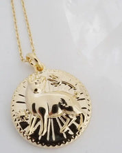 Chinese Zodiac Coin Necklace - Pig Gold / One Size