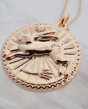 Chinese Zodiac Coin Necklace - Rabbit