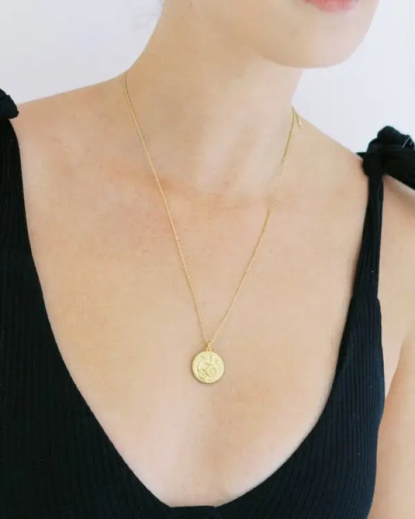 Chinese Zodiac Coin Necklace - Snake