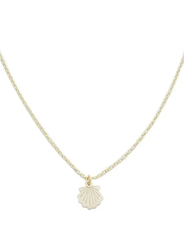 Magic Charm Shell Necklace - Gold / One Size