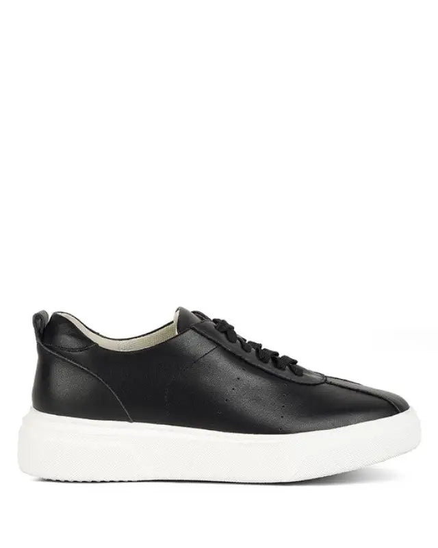 Magull Solid Lace Up Leather Sneakers