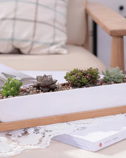 Succulent Planter-Long