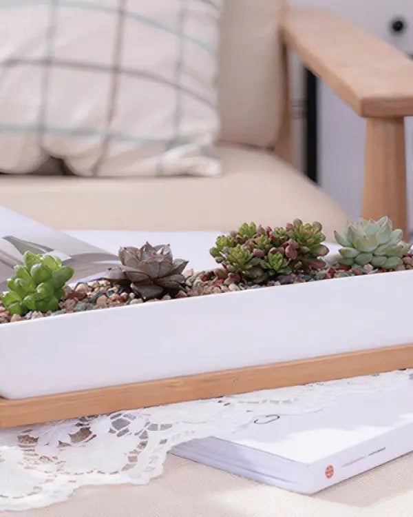 Succulent Planter-Long