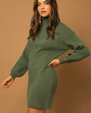 Turtle Neck Balloon Sleeve Sweater Dress