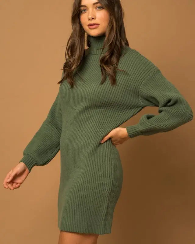 Turtle Neck Balloon Sleeve Sweater Dress