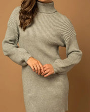 Turtle Neck Balloon Sleeve Sweater Dress