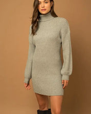 Turtle Neck Balloon Sleeve Sweater Dress